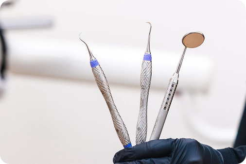 12th photo of the gallery