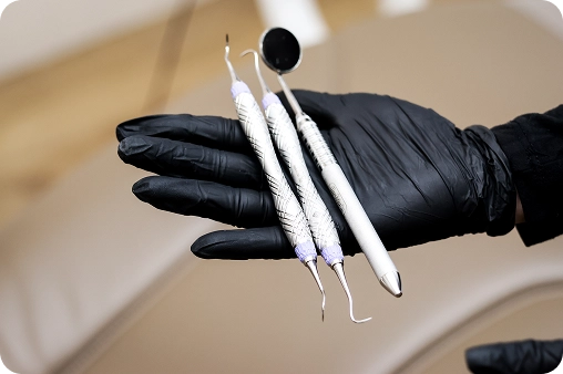 13th photo of the gallery